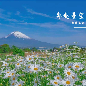 国产精品丝袜黑色高跟鞋
